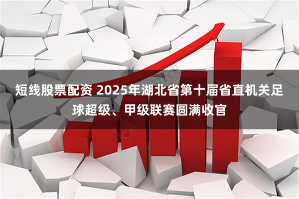 短线股票配资 2025年湖北省第十届省直机关足球超级、甲级联赛圆满收官